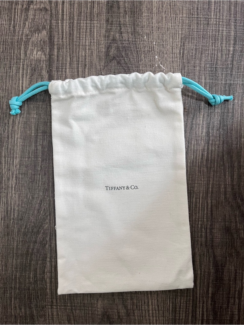 Tiffany & Co. White Pouch with Tiffany Blue Drawstrings